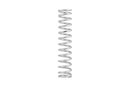 Eibach ERS 16.00 in. Length x 2.50 in. ID Coil-Over Spring-2
