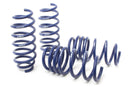 H&R 17-19 Tesla Model 3 Long Range (RWD) Sport Spring (Non Air Susp.)-2